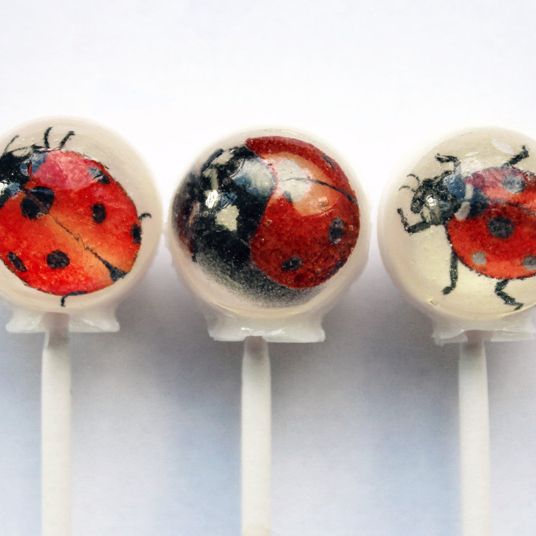 Lucky Ladybug Lollipops 6-piece set by I Want Candy!