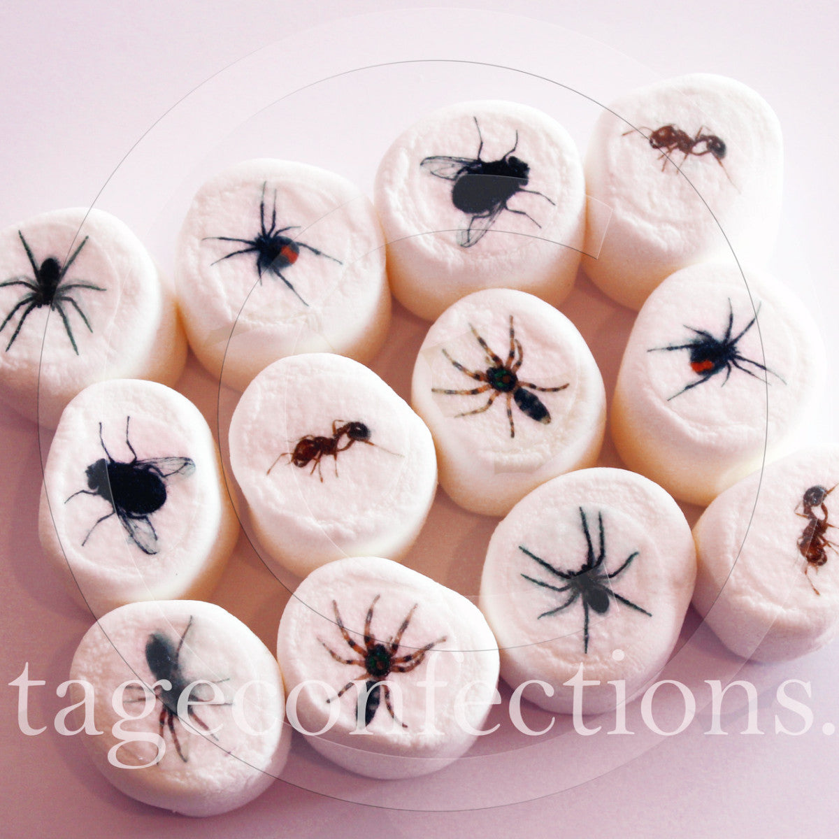 Creepy Bugs and Arachnid Marshmallows by Want Candy!