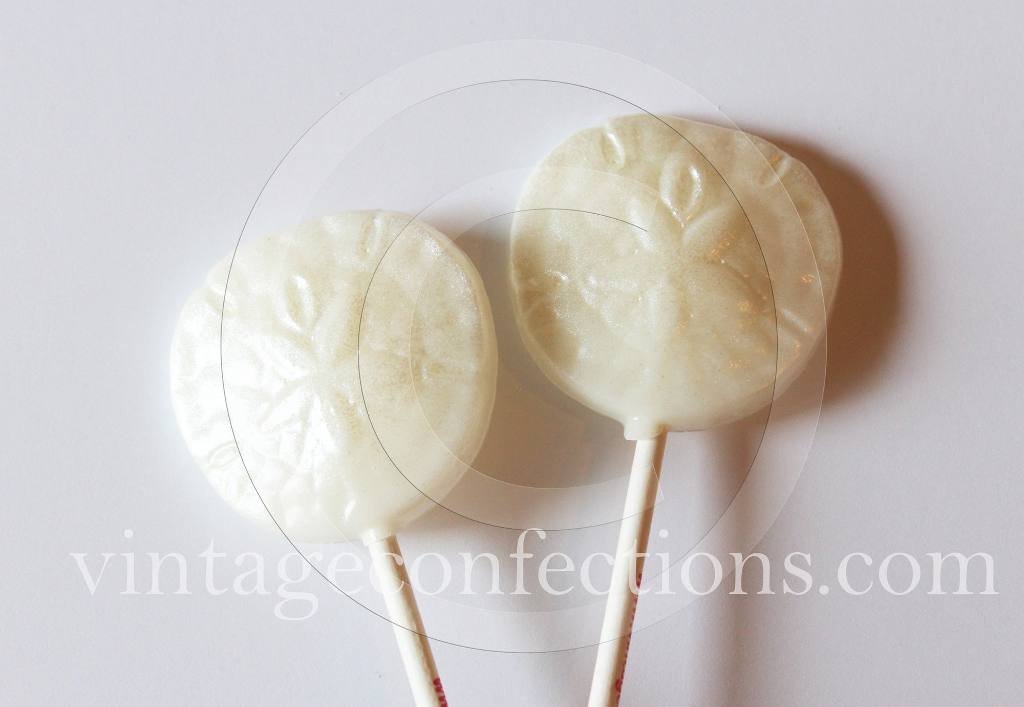 Sand Dollar Shaped Lollipops 6-piece set by I Want Candy!