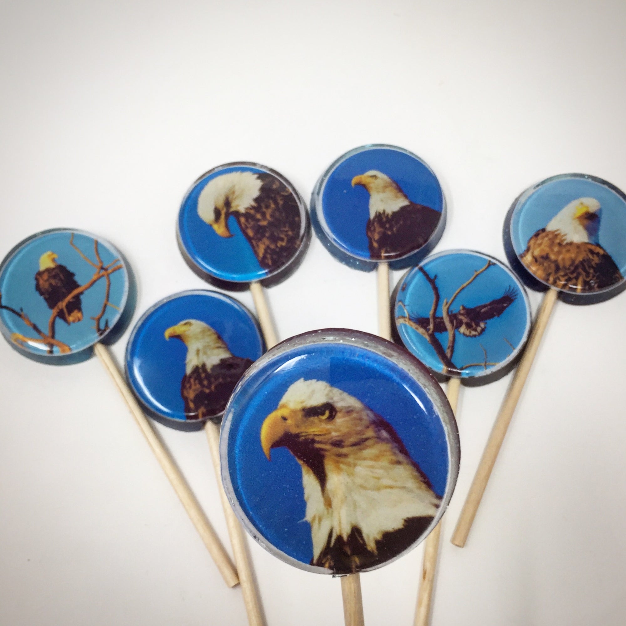 Bald Eagle Lollipops 5-piece set by Jackie Thomsen