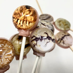 Fossil Hunter Lollipops 5 or 6-piece by I Want Candy!