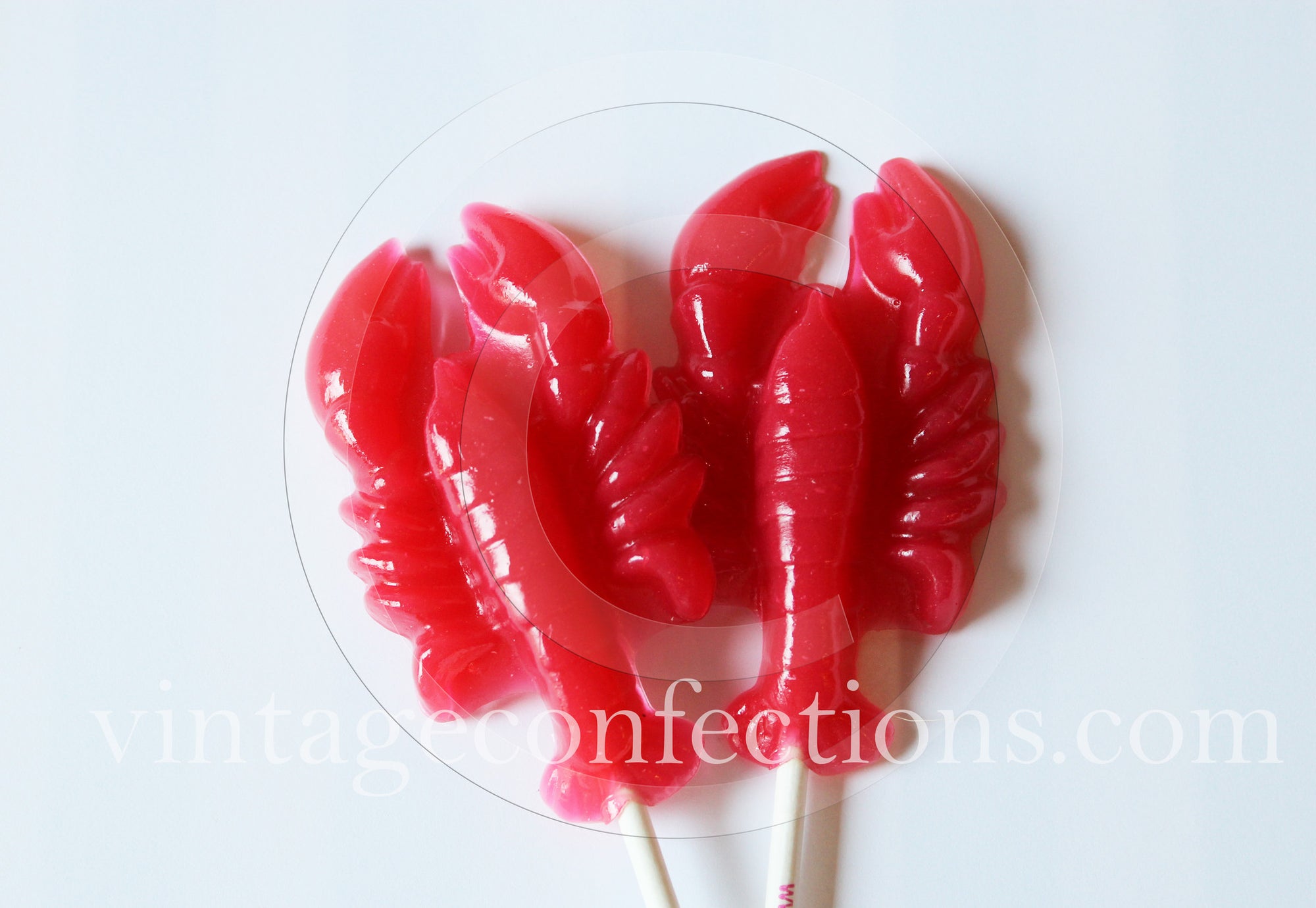 Lobster Lollipops 6-piece set by I Want Candy!