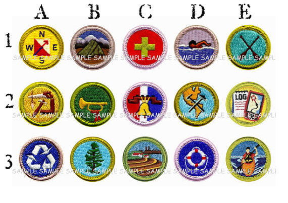 Boy Scout Merit Badge Lollipops 5-piece set by I Want Candy!